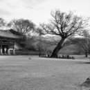 1866 | 해미읍성의 낡은 성문, 1866년으로 통하는 시간의 문