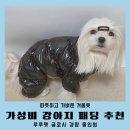 옷이야 | [공지] 강아지겨울옷 저렴한 루루펫 경량 올인원 패딩 후기