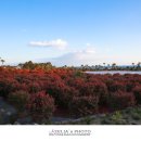 호텔 브릿지 이미지