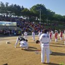연세덕이태권도장 Daum카페