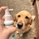 (주)리스펫 이미지