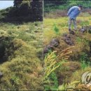 난산리-3 이미지