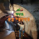 문경 철로자전거(가은역) | 경북 문경 찻사발축제와 주변 가볼만한곳 문경 오미자테마터널, 에코월드, 철로자전거