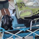 도그앤박스 이미지