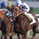 ㈜와이즈랩 이미지