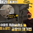 (주)태림약품 | 부천화장실청소업체 아파트 곰팡이 제거 깔끔하게 하는 방법은 다릅니다