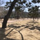 숲속펜션 이미지