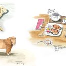 펜화 일러스트 이미지