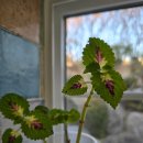 레스트44 이미지