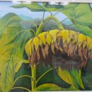 김용운 축사 이미지