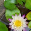 여수엔 호스텔 이미지