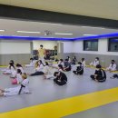 용인대성원태권도장 이미지