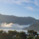 기억나무펜션 이미지