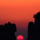 거제갈곶 이미지