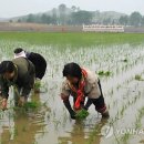 최영림농장 이미지