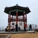 새벌농장 Daum카페