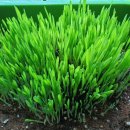 보리창고 이미지