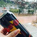 에이스 안성팜 이미지