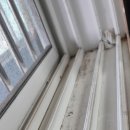 경기도 수원시 권선구 수성로 18 (구운동, 강남아파트) 이미지