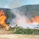 신월동119 이미지