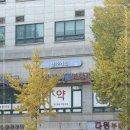 시그니아독일보청기 네이버블로그