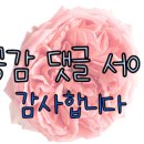 오성동태탕