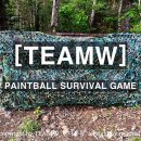 팀더블유 이미지