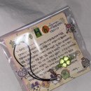 부산대학교 대운동장 | #2025 고3 3.5분기 결산