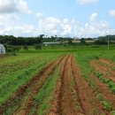서산토지부동산공인중개사사무소 이미지
