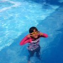 돌담너머바다 이미지