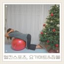 라인업요가 | 멜킨스포츠 요가매트 와이드운동매트 짐볼운동으로 완성하는 홈트