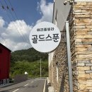 동이애견 | 경기도 가평애견펜션 골드스푼애견풀빌라 (feat. 202동 복층룸 후기)