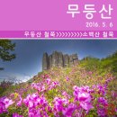 원효자동차클럽 | [등산] 무등산 안양산~무등산 옛길 코스 (2016. 5. 6)