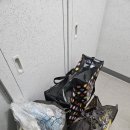 김 셔틀 이미지