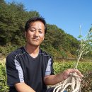 김봉수