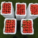 미진이지비아 아파트 정문 이미지