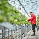 도정마을 이미지