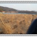 시골약초가게