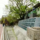 우이천 산책로 이미지