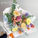 라프티