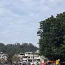 심포니 | 홍콩 청차우(Cheung Chau)섬 방문 및 심포니오브라이트 직관 후기