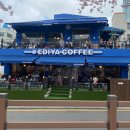 온천천카페거리(느티나무유치원 앞) 이미지