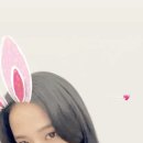 허니퍼니 이미지