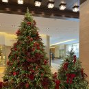 조선비치 | 웨스틴 조선 부산 이그제큐티브 비치 킹 투숙 후기 (룸/라운지/방어배달)