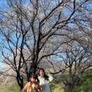 모악산 돌담가 이미지