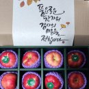 0917=왕상3:아기 반을 주세요. 이미지