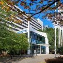 훈의원 | 런던여행 10만원대 찐가성비 숙소 추천 노보텔 런던 웨스트 호텔 내돈내산 솔직 후기