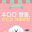 우다다 유치원 이미지