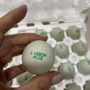 통일청란 이미지