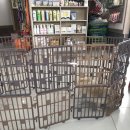 김대진동물병원 이미지